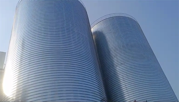 范县2座混凝土高架卷板仓